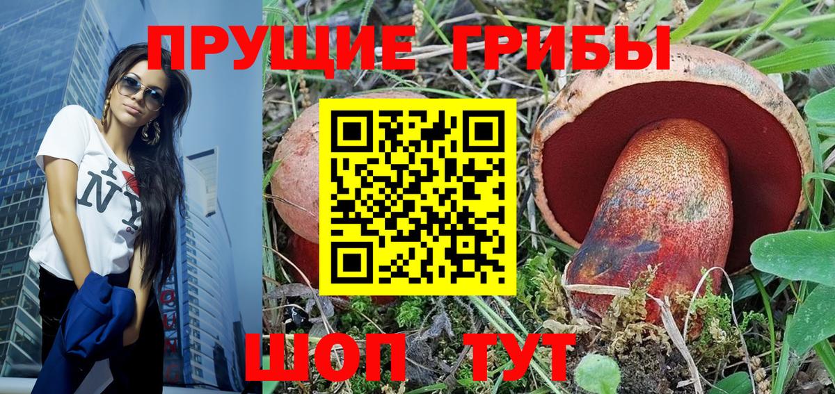 Вязьма  Галлюциногенные грибы прущие грибы  Вход с VPN  Псилоцибиновые грибы мухоморы 